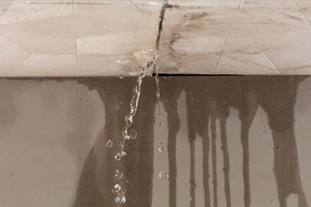 Professional Structural Drying technician working in Winter Harbor, ME
